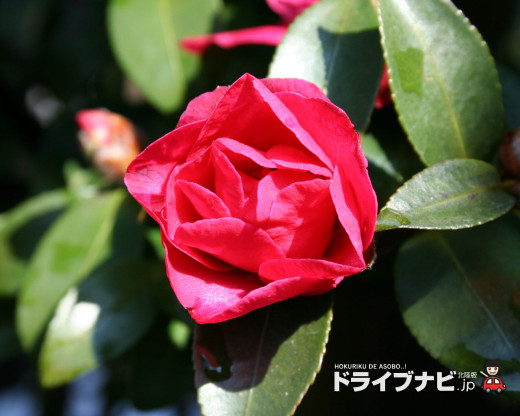 431122 (a): :1280x1024
